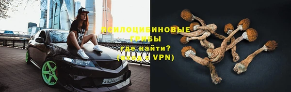 твердый Алзамай