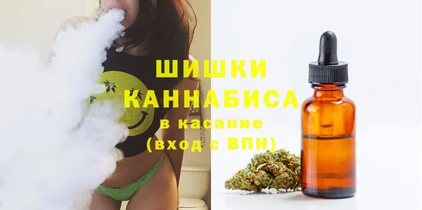 соль ск Алексин