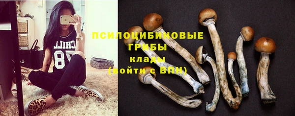 твердый Алзамай