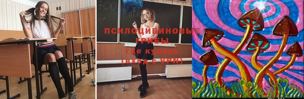 соль ск Алексин