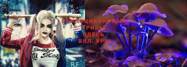 твердый Алзамай